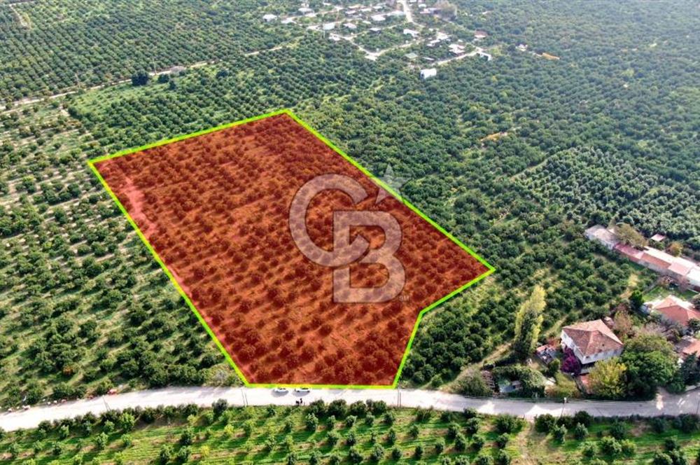 GÜMÜLDÜRDE SATILIK BAHÇE