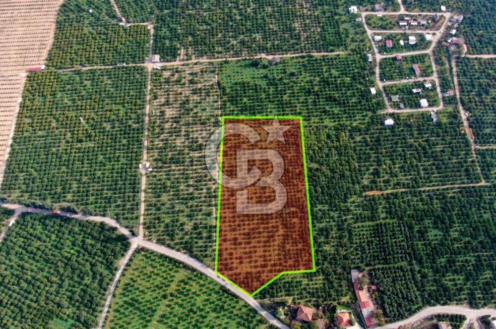 GÜMÜLDÜRDE SATILIK BAHÇE