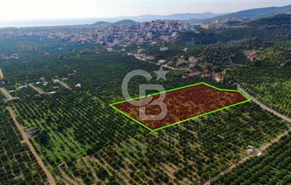 GÜMÜLDÜRDE SATILIK BAHÇE