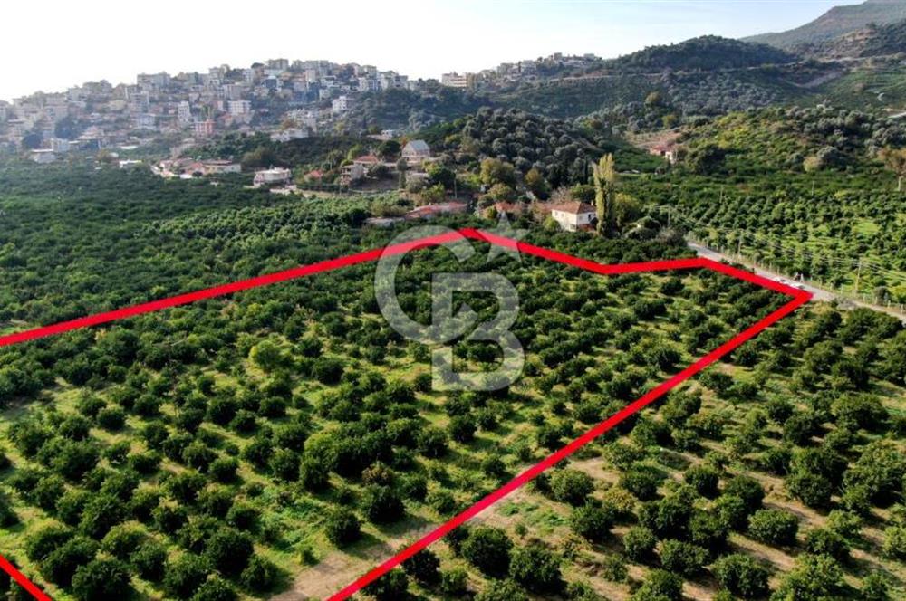 GÜMÜLDÜRDE SATILIK BAHÇE