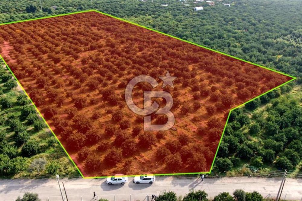 GÜMÜLDÜRDE SATILIK BAHÇE