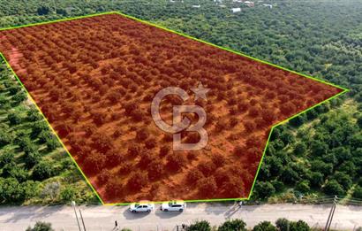 GÜMÜLDÜRDE SATILIK BAHÇE