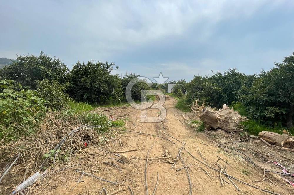 GÜMÜLDÜRDE SATILIK BAHÇE