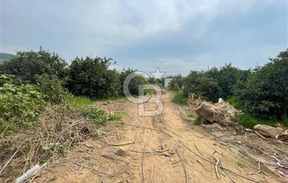 GÜMÜLDÜRDE SATILIK BAHÇE