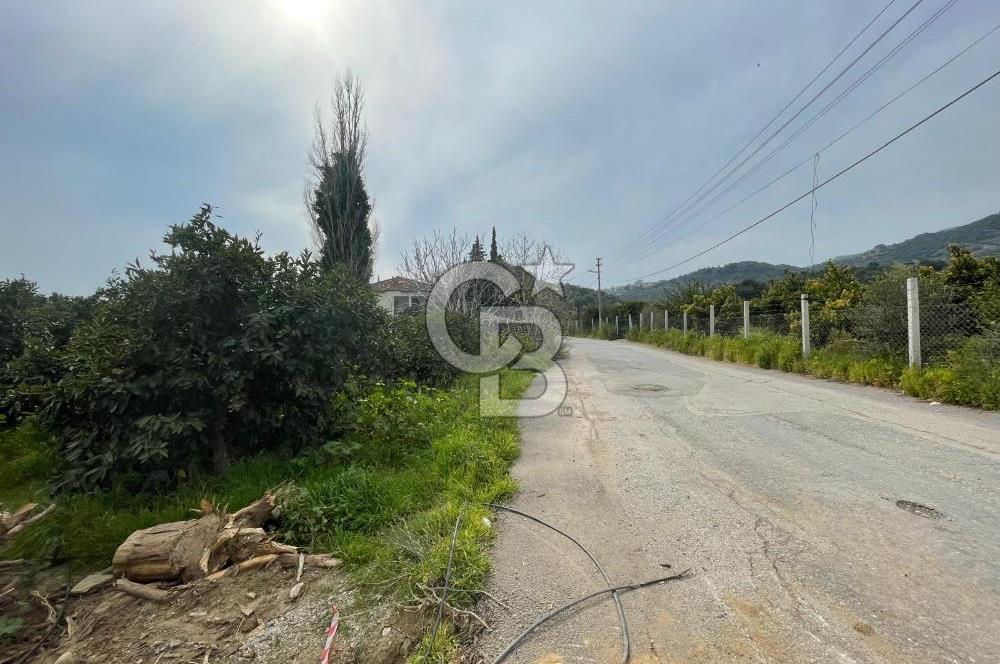 GÜMÜLDÜRDE SATILIK BAHÇE