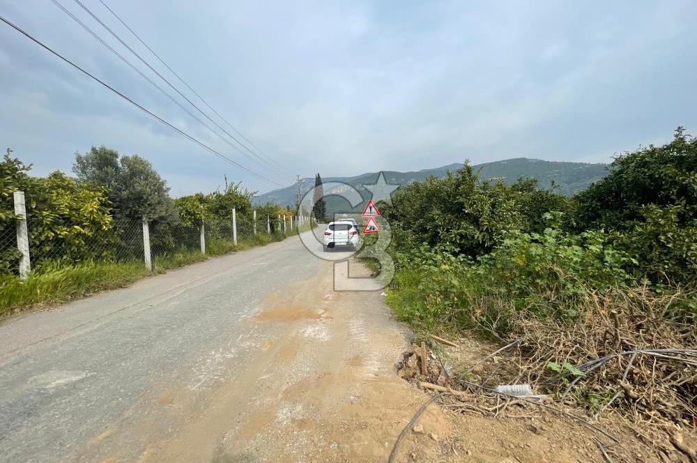 GÜMÜLDÜRDE SATILIK BAHÇE