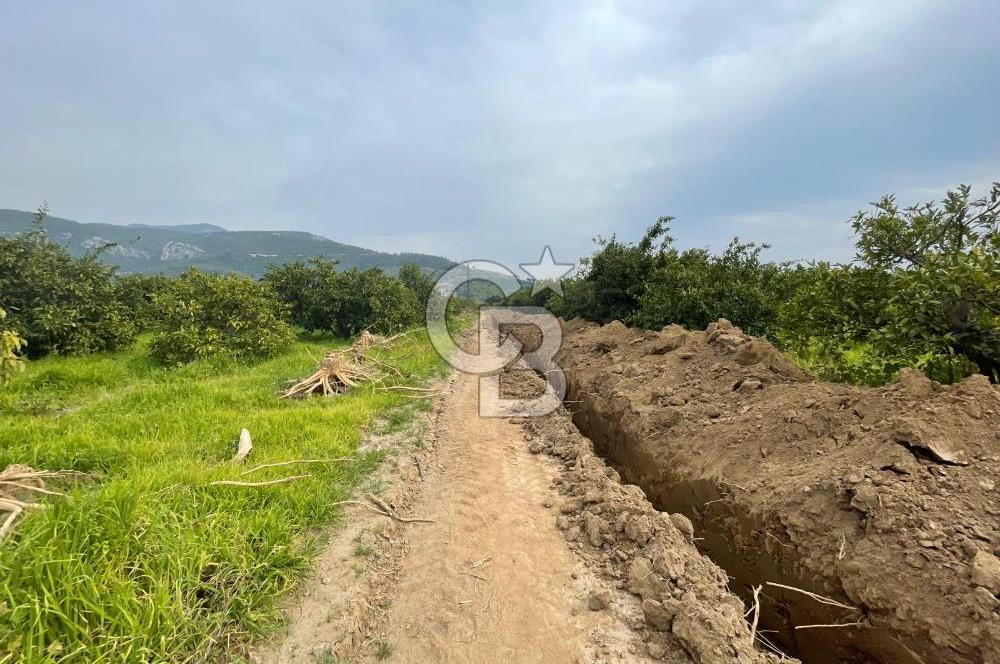 GÜMÜLDÜRDE SATILIK BAHÇE