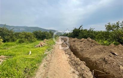 GÜMÜLDÜRDE SATILIK BAHÇE