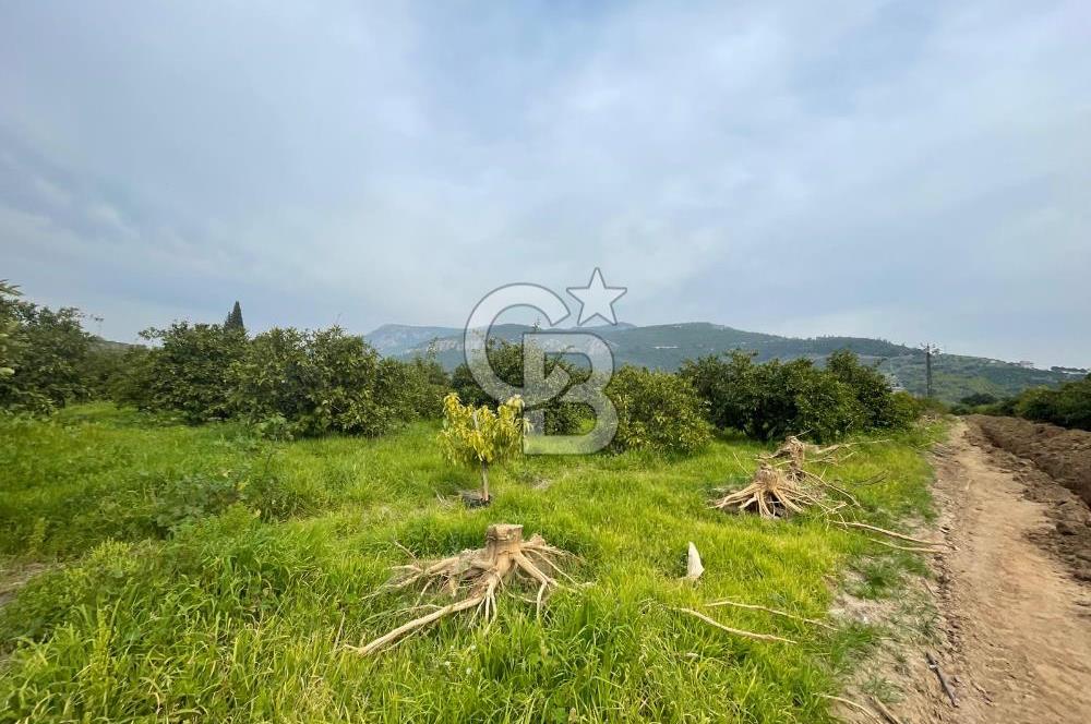 GÜMÜLDÜRDE SATILIK BAHÇE