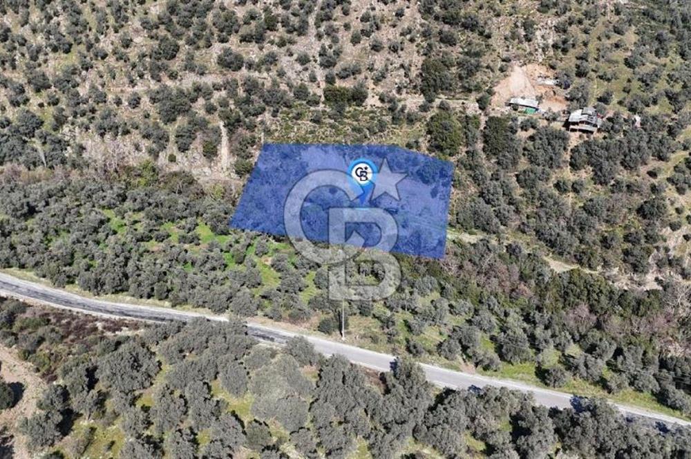 BAYINDIR DEREKÖY KİRAZLIK ZEYTİNLİK