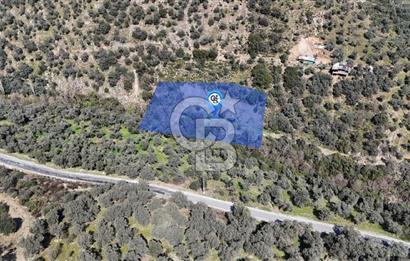 BAYINDIR DEREKÖY KİRAZLIK ZEYTİNLİK