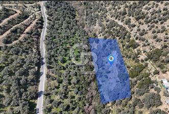 BAYINDIR DEREKÖY KİRAZLIK ZEYTİNLİK - 1 - 339668