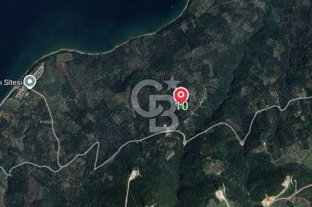 CB FLY'dan Edincik'te Panaromik Deniz Manzaralı Zeytinlinlik 