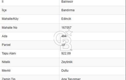 CB FLY'dan Edincik'te Panaromik Deniz Manzaralı Zeytinlinlik 