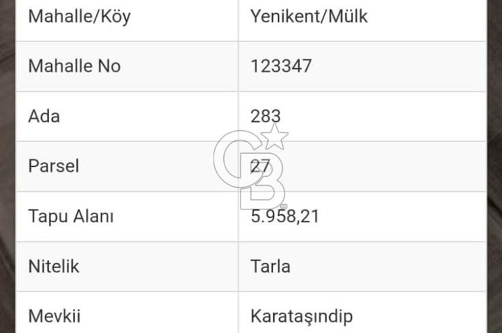 SATILIK TARLA – ANKARA / SİNCAN / YENİKENT