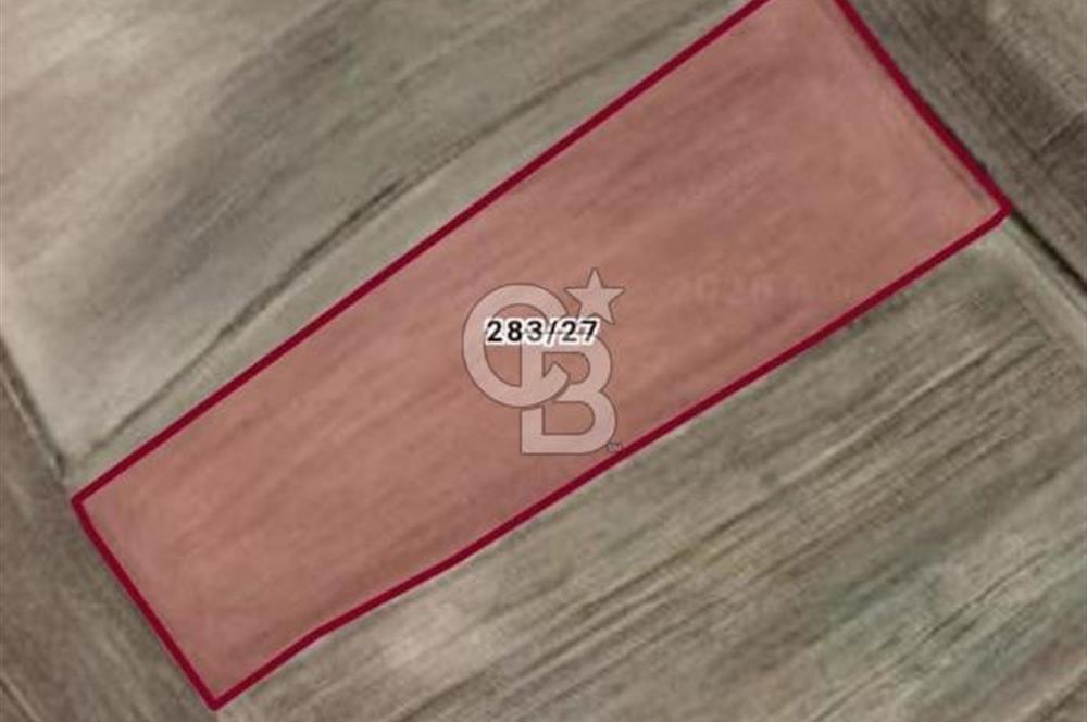 SATILIK TARLA – ANKARA / SİNCAN / YENİKENT