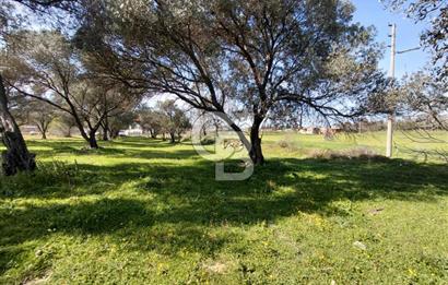 Foça Yenibağarası’nda Yola Cepheli Sahile Yakın Parsel