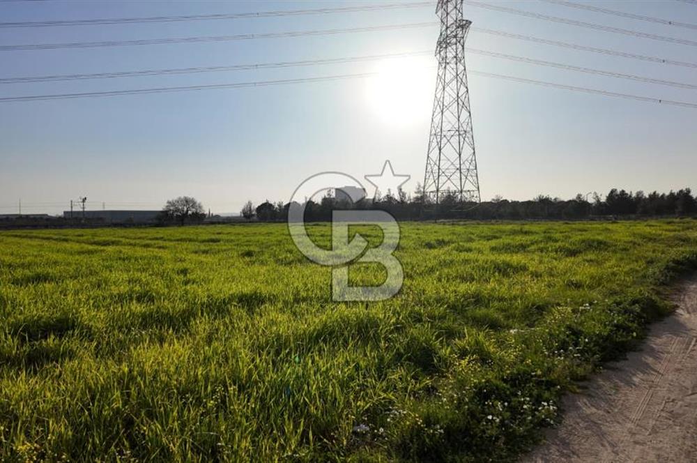 Menemen Türkelli’de Sanayi Yoğun Çevrede Yola Cepheli Parsel
