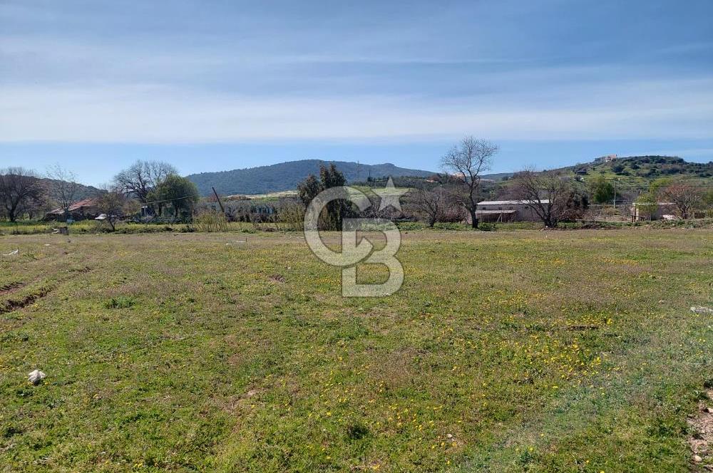 Foça Yenibağarası’nda Yola Cepheli Sahile Yakın Parsel