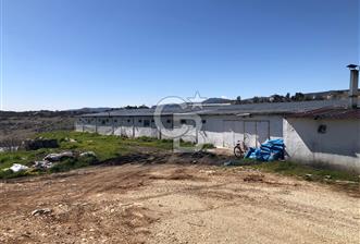 MERSIN'DE SATILIK TAM DONANIMLI FAAL TAVUK ÇİFTLİĞİ - 1 - 339740