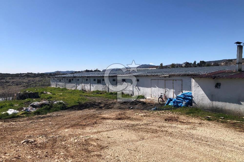 MERSIN'DE SATILIK TAM DONANIMLI FAAL TAVUK ÇİFTLİĞİ