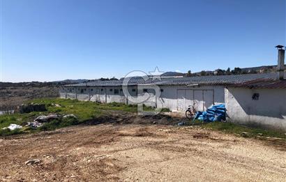 MERSIN'DE SATILIK TAM DONANIMLI FAAL TAVUK ÇİFTLİĞİ