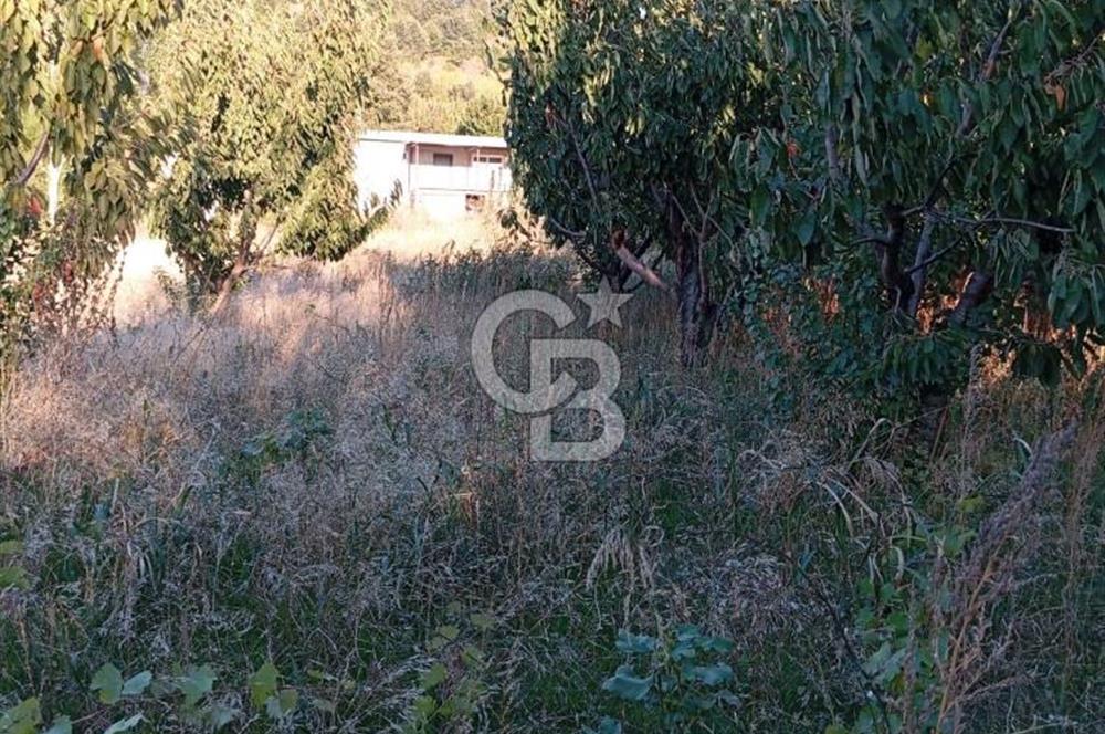 BAYINDIR ÇINARDİBİ FIRSAT TARLA