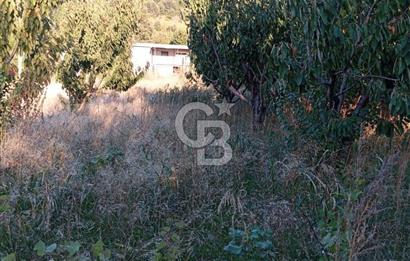 BAYINDIR ÇINARDİBİ FIRSAT TARLA