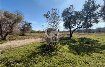 Foça Yenibağarası’nda Yola Cepheli Sahile Yakın Parsel