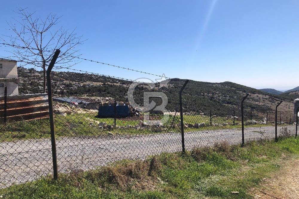 MERSIN'DE SATILIK TAM DONANIMLI FAAL TAVUK ÇİFTLİĞİ