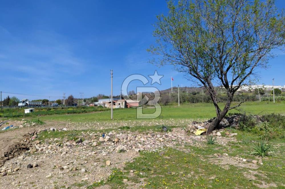 Foça Yenibağarası’nda Yola Cepheli Sahile Yakın Parsel
