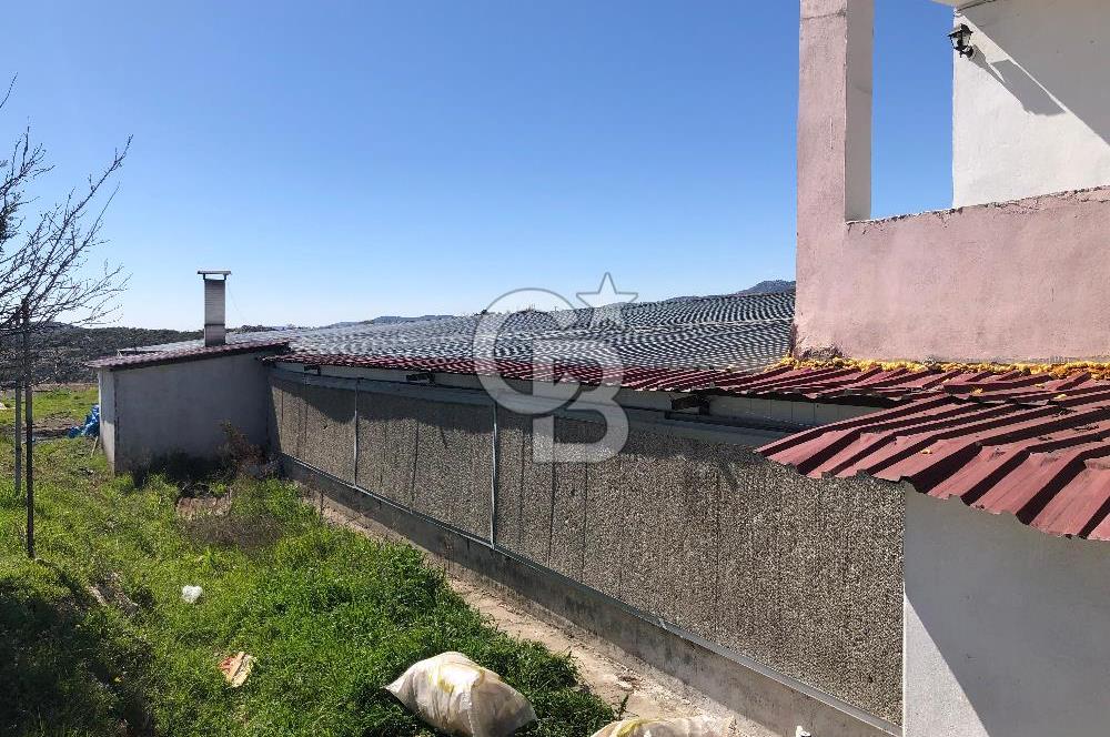 MERSIN'DE SATILIK TAM DONANIMLI FAAL TAVUK ÇİFTLİĞİ