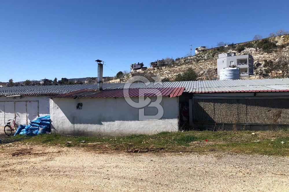 MERSIN'DE SATILIK TAM DONANIMLI FAAL TAVUK ÇİFTLİĞİ