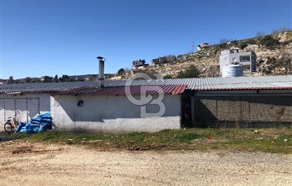 MERSIN'DE SATILIK TAM DONANIMLI FAAL TAVUK ÇİFTLİĞİ