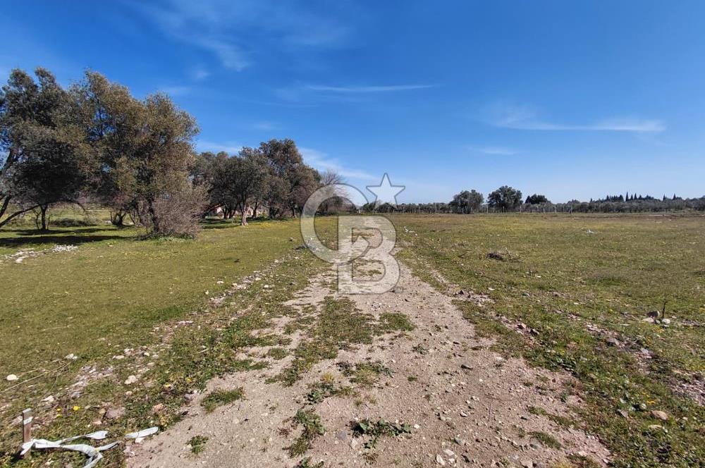 Foça Yenibağarası’nda Yola Cepheli Sahile Yakın Parsel
