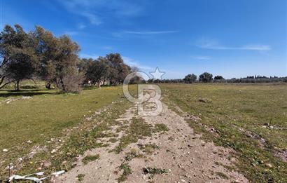 Foça Yenibağarası’nda Yola Cepheli Sahile Yakın Parsel
