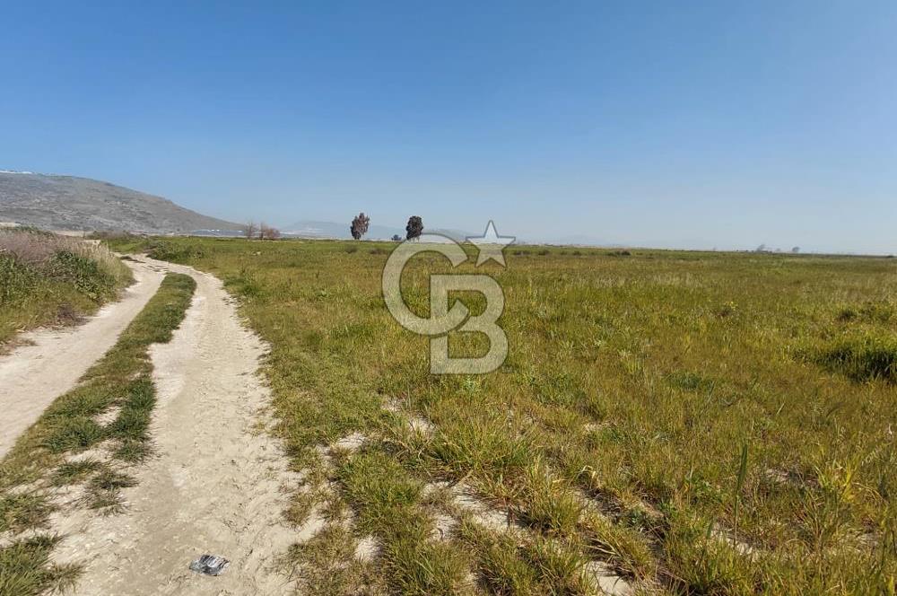 Foça Yenibağarası Satılık Tarla | Yolu Olan Doğa İçinde