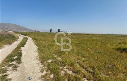 Foça Yenibağarası Satılık Tarla | Yolu Olan Doğa İçinde