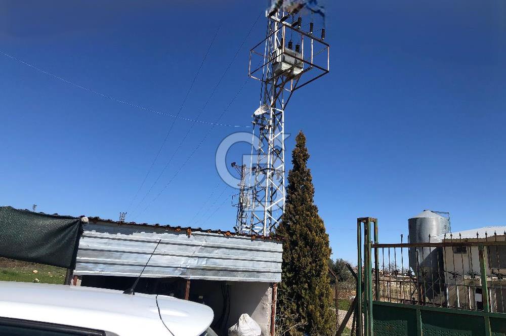 MERSIN'DE SATILIK TAM DONANIMLI FAAL TAVUK ÇİFTLİĞİ