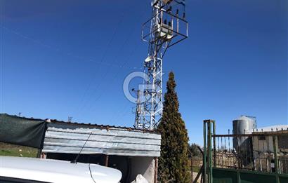 MERSIN'DE SATILIK TAM DONANIMLI FAAL TAVUK ÇİFTLİĞİ