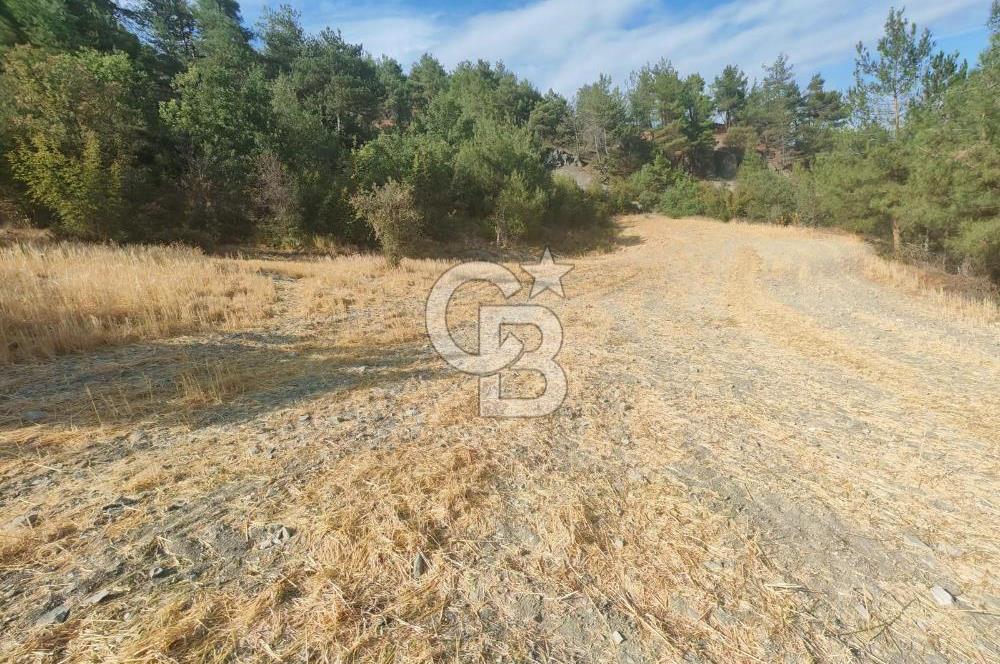 BOLU GÖYNÜK KARACALAR KÖYÜNDE 1274 M2 MÜSTAKİL TAPULU ARAZİ