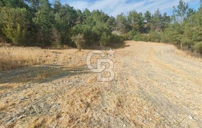 BOLU GÖYNÜK KARACALAR KÖYÜNDE 1274 M2 MÜSTAKİL TAPULU ARAZİ