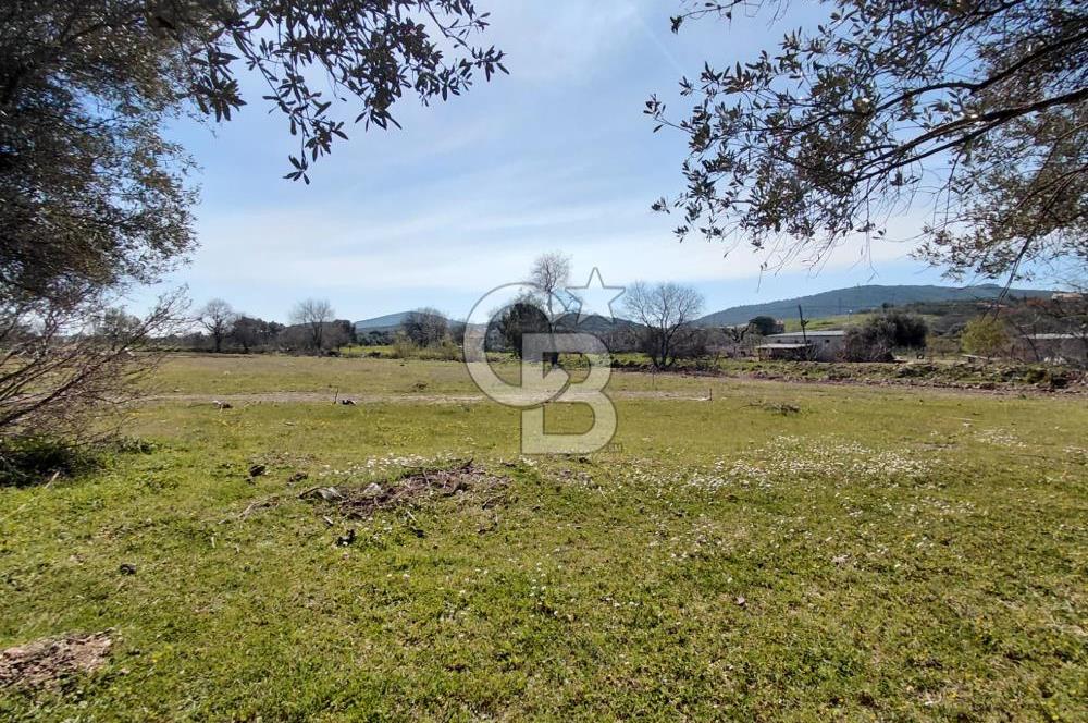 Foça Yenibağarası’nda Yola Cepheli Sahile Yakın Parsel