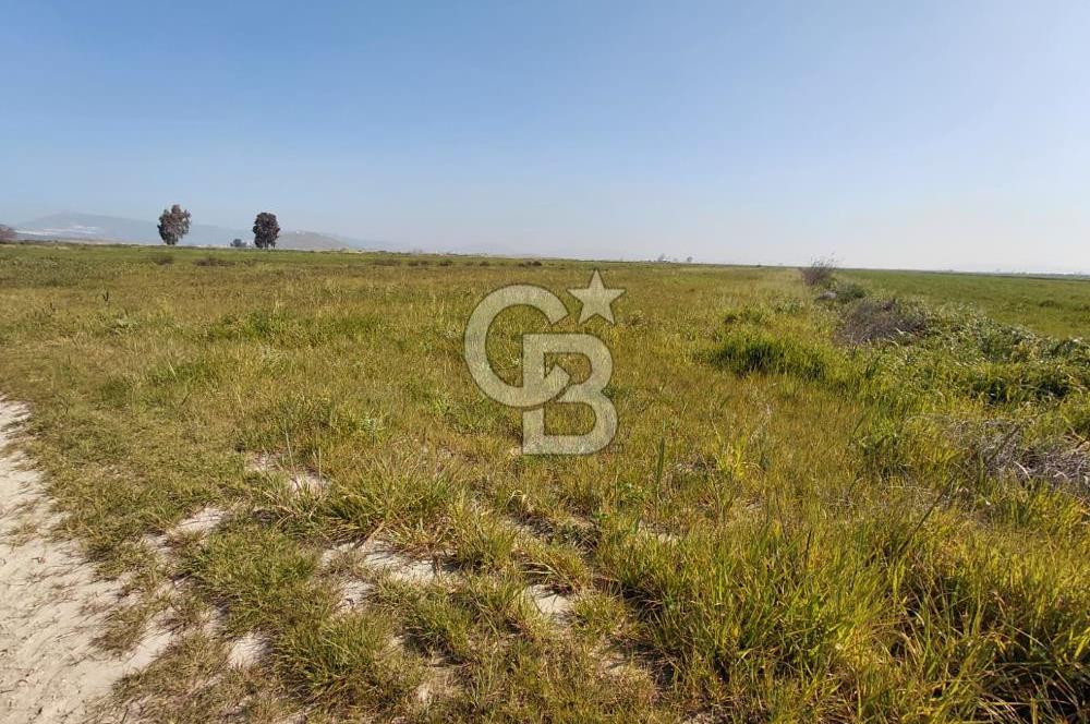 Foça Yenibağarası Satılık Tarla | Yolu Olan Doğa İçinde