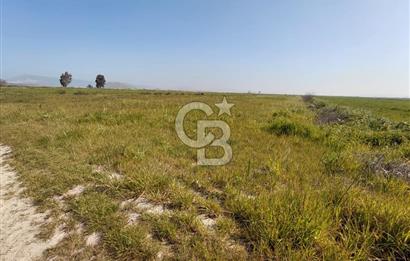 Foça Yenibağarası Satılık Tarla | Yolu Olan Doğa İçinde