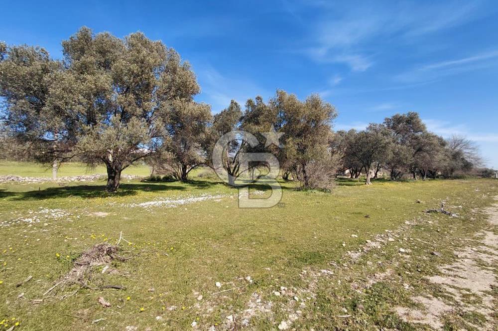 Foça Yenibağarası’nda Yola Cepheli Sahile Yakın Parsel