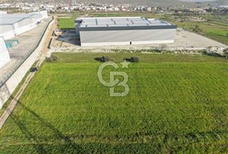 Menemen Türkelli’de Sanayi Yoğun Çevrede Yola Cepheli Parsel - 10 - 339729