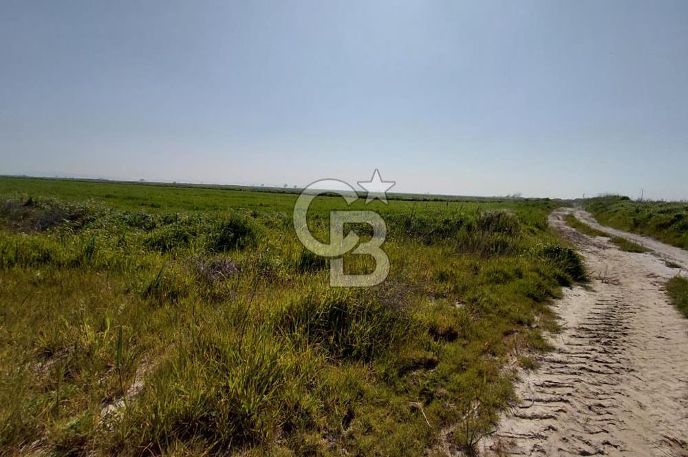 Foça Yenibağarası Satılık Tarla | Yolu Olan Doğa İçinde