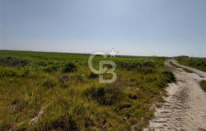 Foça Yenibağarası Satılık Tarla | Yolu Olan Doğa İçinde