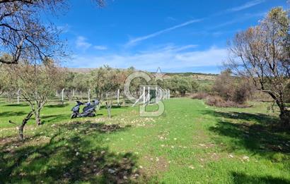 MENEMEN TÜRKELLİ PAŞALAR FIRSAT TARLA